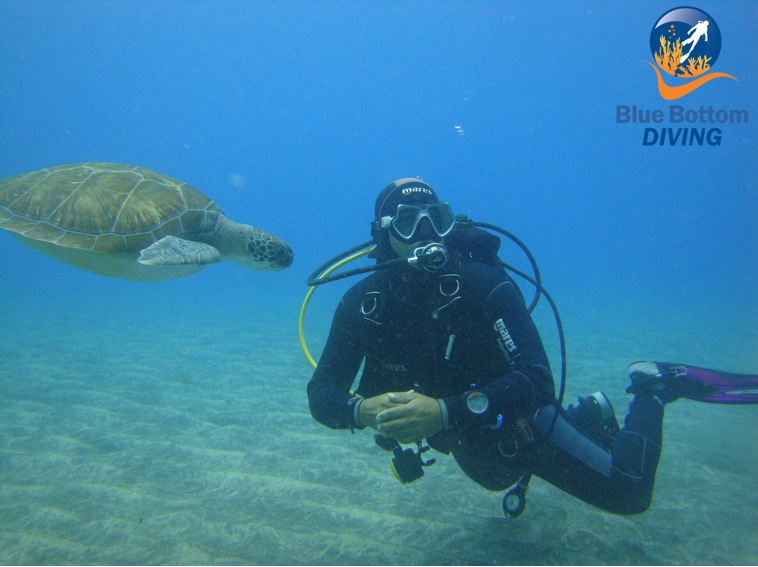 dive BlueBottomDiving Tenerife Facebook