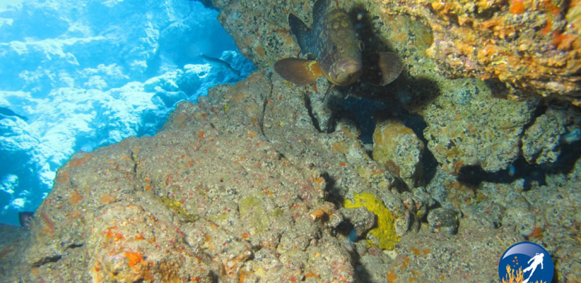 buceo cueva neptuno