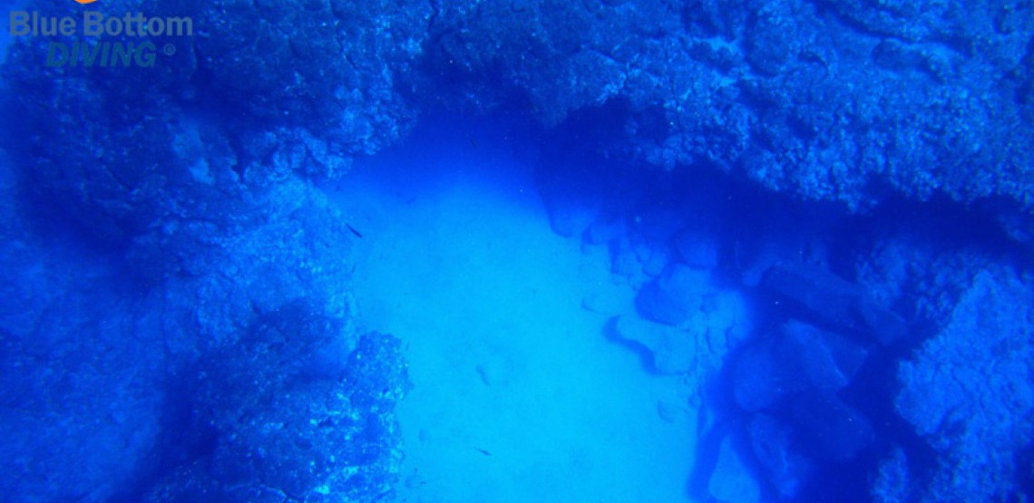 buceo roncadores