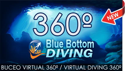 Buceo virtual diving bluebottom