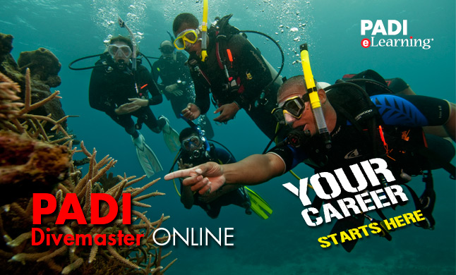 Curso Divemaster
