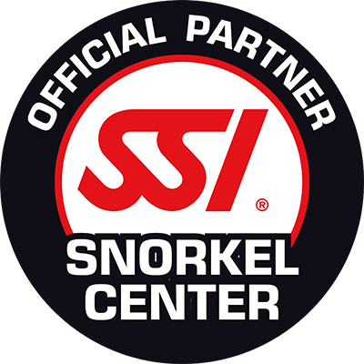 SSI