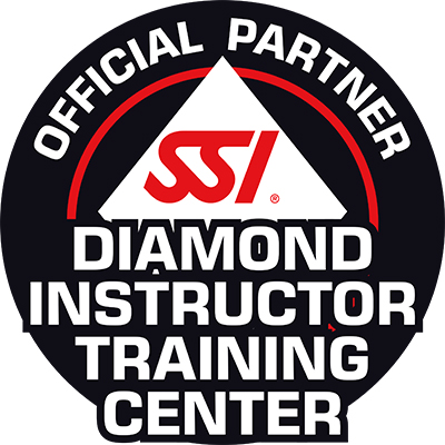 SSI